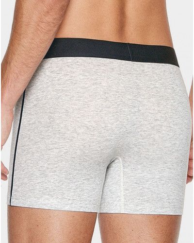 Boxer Eden Park G59 (073)