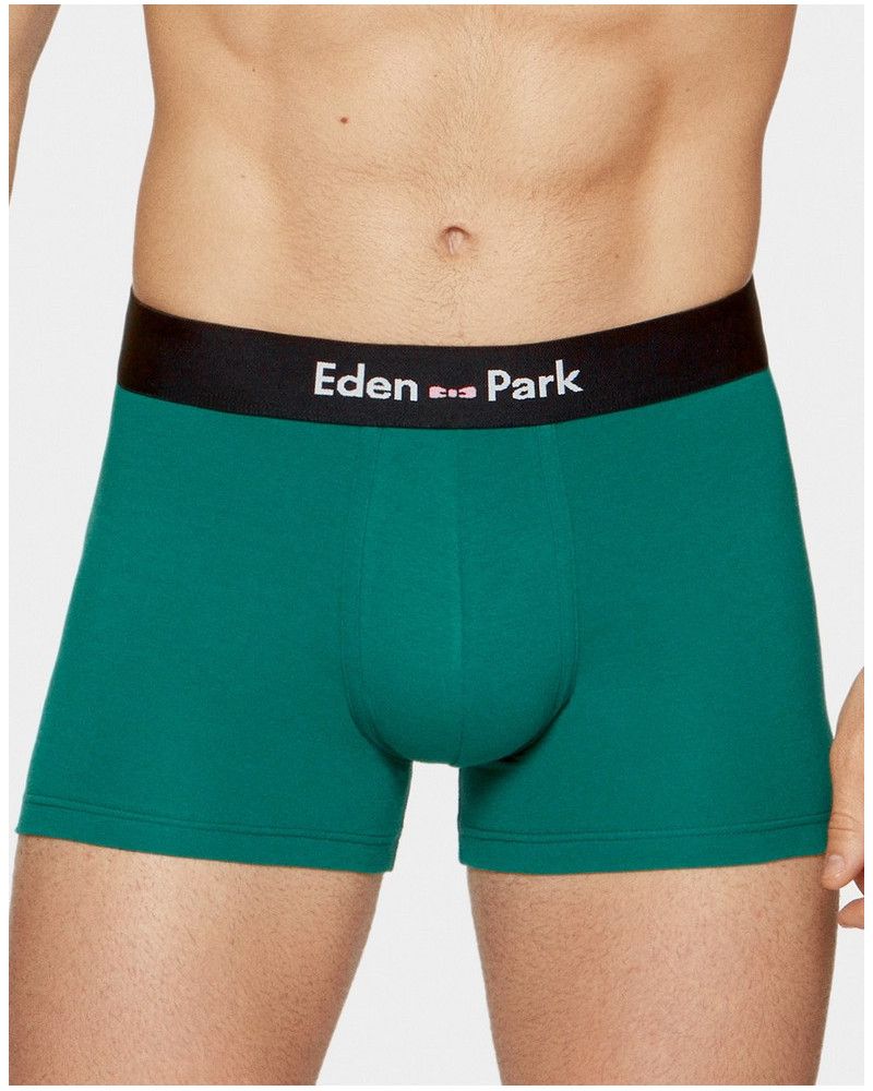 Boxer Eden Park E60 (GN007)