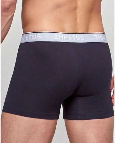 Boxer Impetus Coton Bio (039)