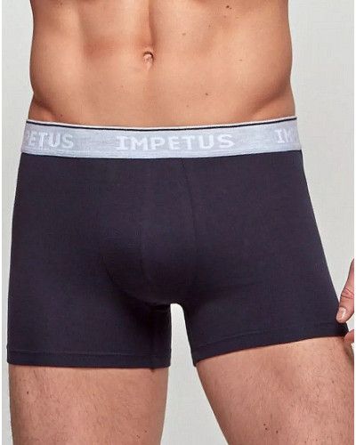 Boxer Impetus Coton Bio (039)