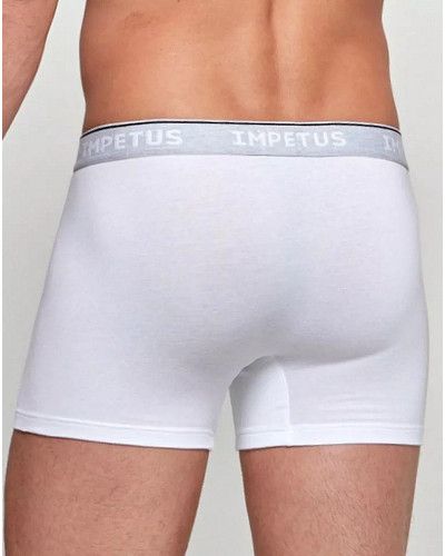 Boxer Impetus Algodón Orgánico (26C)