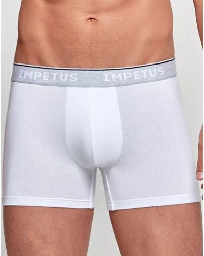 Boxer Impetus Coton Bio (26C)