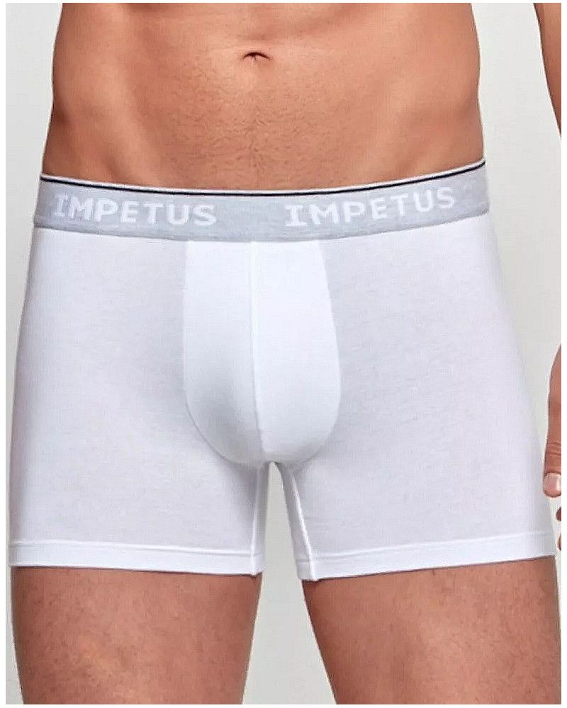 Boxer Impetus Coton Bio (26C)