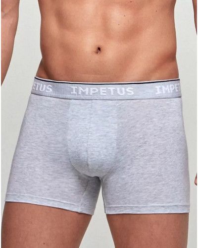 Boxer Impetus Coton Bio (073)