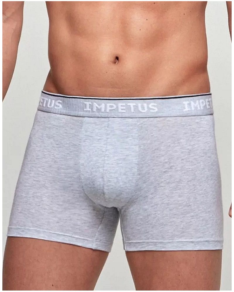 Boxer Impetus Organic Cotton (073)
