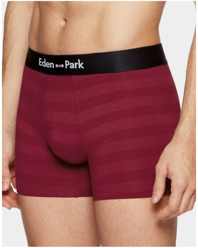 Boxer striped Eden Park G92 (BDJ94)