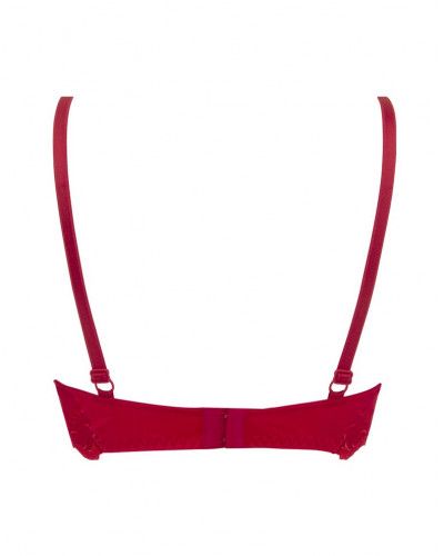 Glamorous bra Lise Charmel Splendeur Soie (Splendeur Rouge)