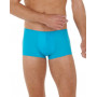 Shorty HOM Plumes (Turquoise)