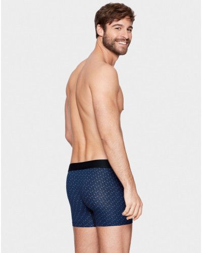 Boxer Eden Park H29 (NB002)