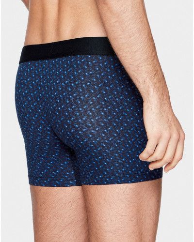 Boxer Eden Park H29 (NB002)