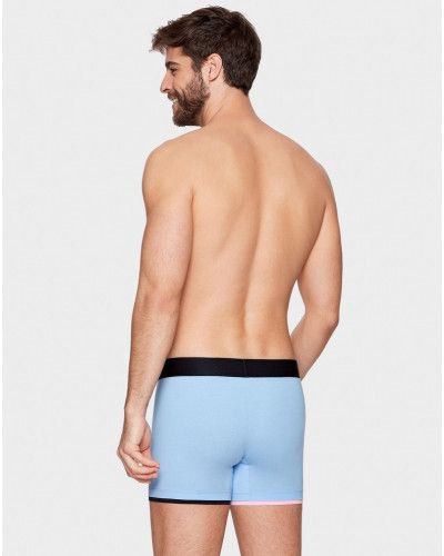 Boxer Eden Park H06 (BL041)