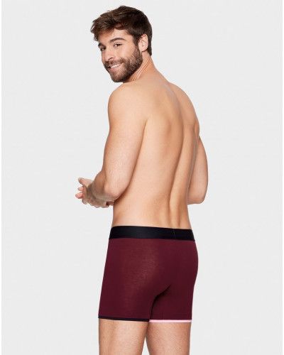 Boxer Eden Park H06 (BDJ95)