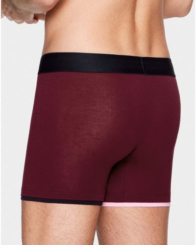 Boxer Eden Park H06 (BDJ95)