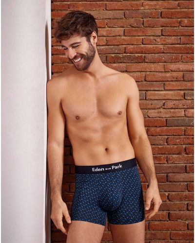 Boxer Eden Park H29 (NB002)