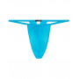 String HOM Plumes (Turquoise)