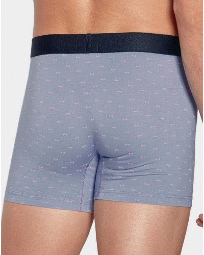 Boxer Eden Park E49 (BL058)