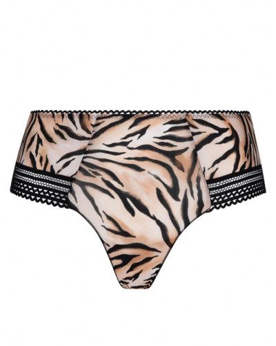 Shorty Antigel Tigre Rebelle (Tigre Blond)