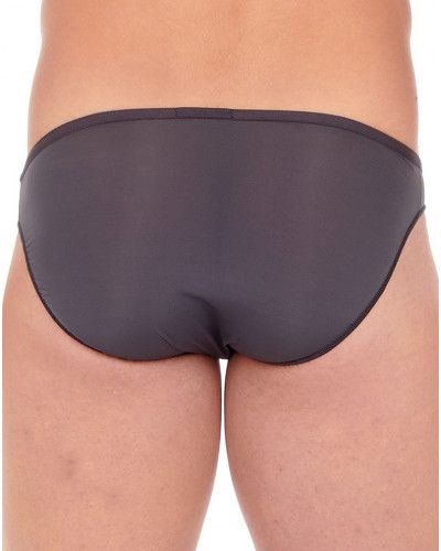 Micro brief Hom Plumes (Anthracite)