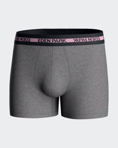 Shorty Eden Park H53 (MX927)