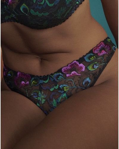 String Prima Donna San Angel (Peacock Feather)