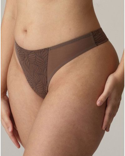 Thong Prima Donna Twist Ajusco (Caribe Taupe)