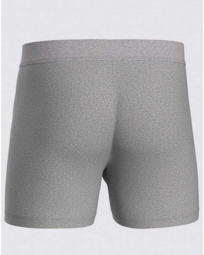 Calzoncillos 100% algodón Impetus Pure Cotton (Gris)