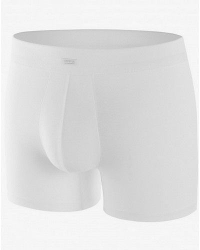 Boxer Impetus Cotton Stretch (Blanc)