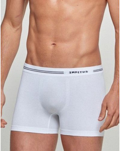 Boxer Impetus Cotton Seamless (Blanc)