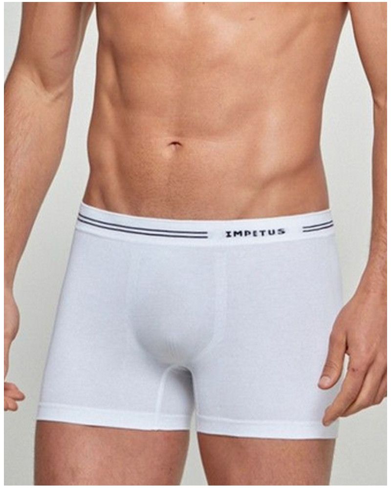 Boxer Impetus Cotton Seamless (White)