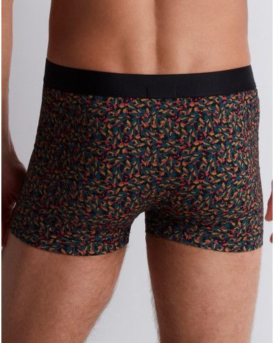 Boxer Aubade Men (Wild magic)