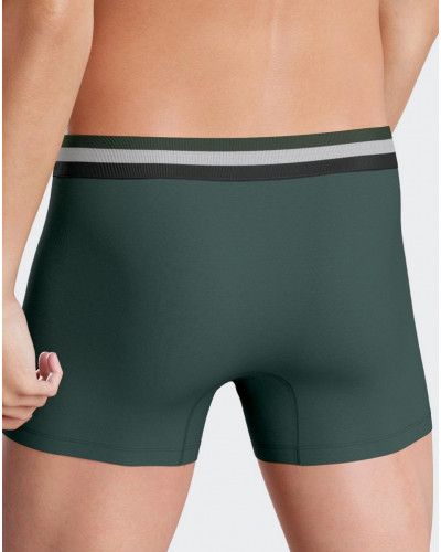 Shorty Eden Park H51 GN003 (Set of 2)