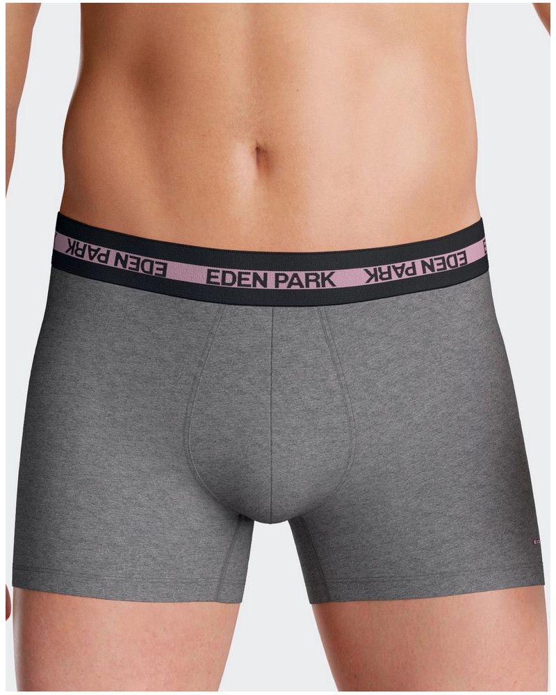 Shorty Eden Park H53 (MX927)