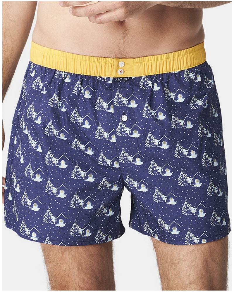 Caleçon slip 100% coton Arthur 1126