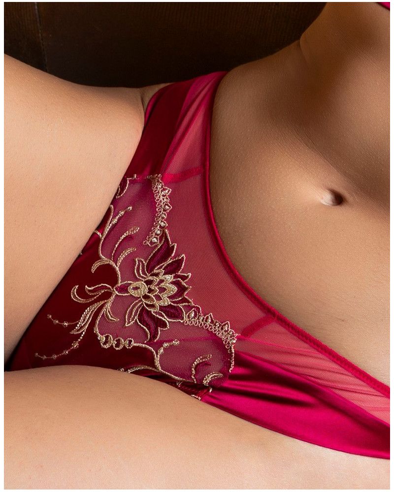 Seduction silk brief Lise Charmel Éblouissante Icone (Or rubis)