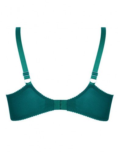 Sujetador corbeille bienestar Lise Charmel Sublime en Dentelle (Vert Princesse)