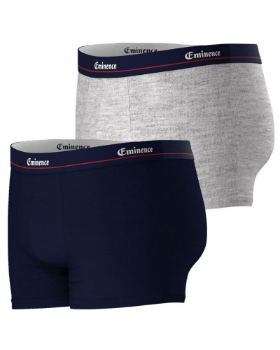 Lot de 2 boxers Eminence Swing motifs (Gris/Marine)
