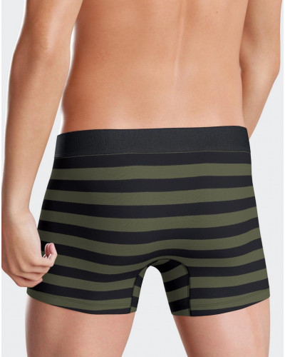 Shortie Eden Park E41 (GN032)