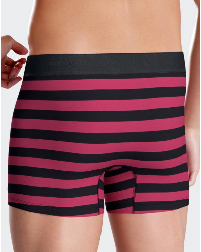 Cotton shorty Eden Park E41 (PK059)