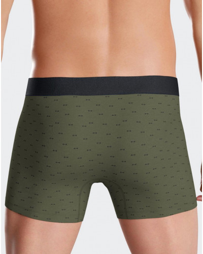 Shortie Eden Park E49 (GN032)