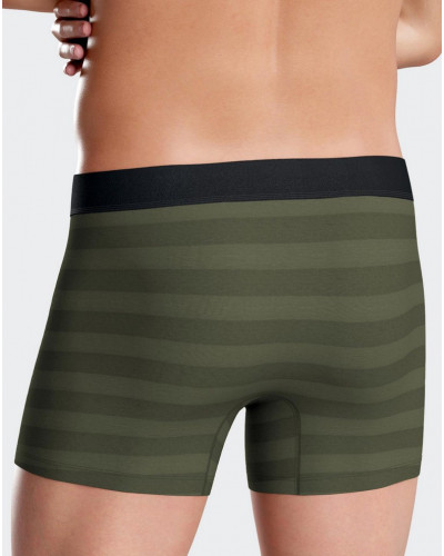 Shorty Eden Park H61 GN032 (Pack of 2)