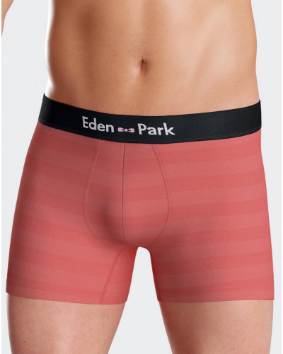 Shorty Eden Park H61 OR018 (Lot de 2)