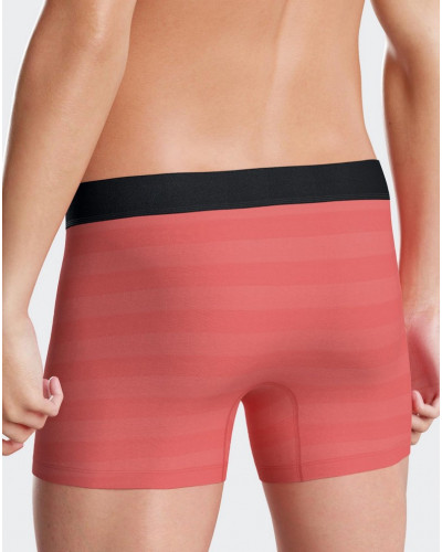 Shorty Eden Park H61 OR018 (Pack of 2)