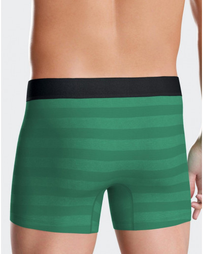 Shorty Eden Park H61 GN082 (Lot de 2)