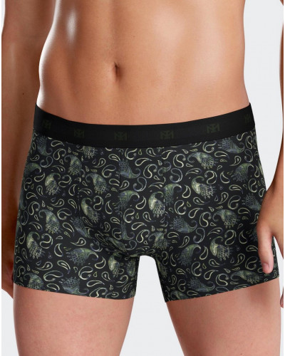 Boxer Impetus N43 (GN069)