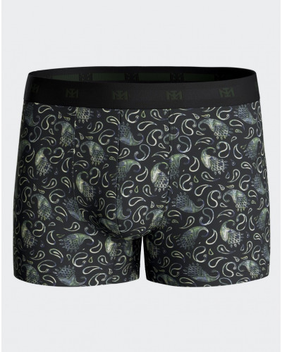 Boxer Impetus N43 (GN069)