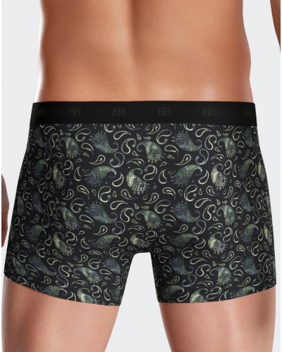 Boxer Impetus N43 (GN069)