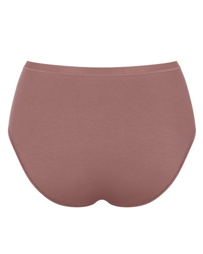 Slip midi (coton bio) Sloggi GO Daily Cotton (Cacao)