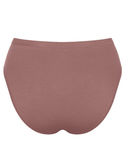 Paquete de 3 calzoncillos tai (Algodón bio) Sloggi Go Daily Cotton (Cacao)