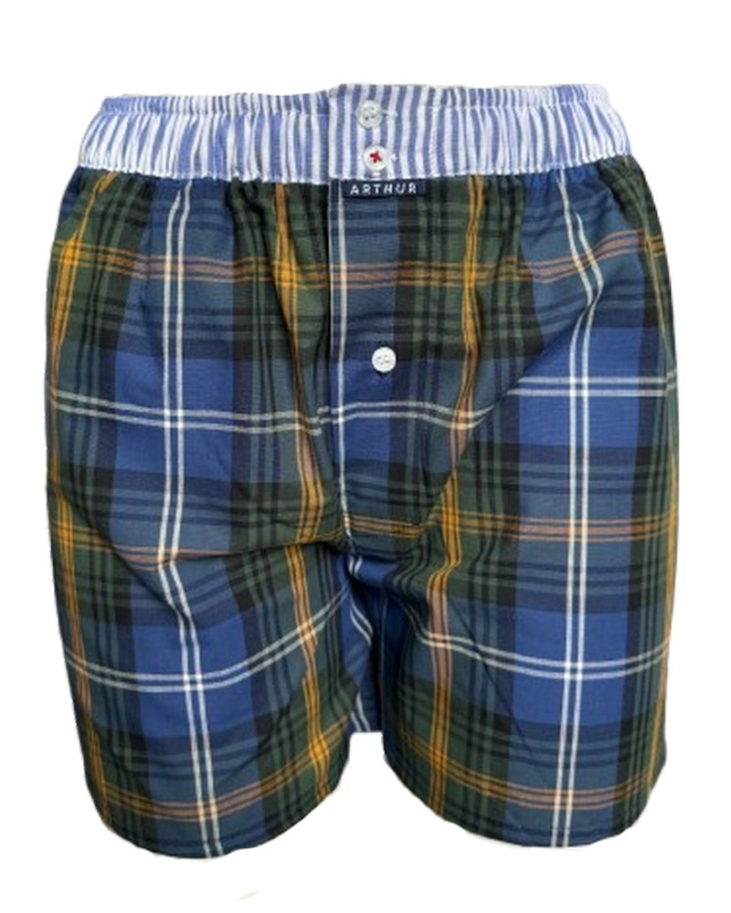 Caleçon slip 100% coton Arthur 1129