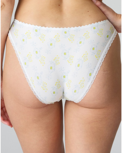 Rio briefs Chen Marie Jo (White Yacht)